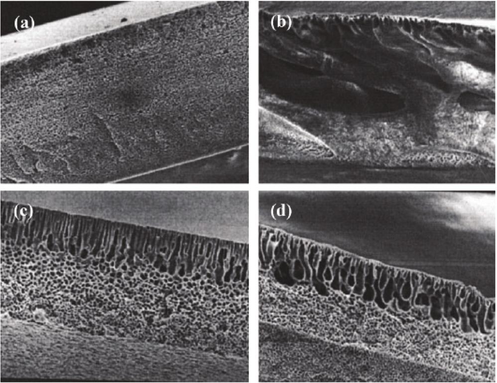 이렇게 개발된 분리막은 분리성능이 개선되었을 뿐만 지하던 부분을 기공으로 형성시키는 방법이다. 일반적인 NIPS법에 의해 아니라, 물리적, 열적, 화학적 안정성이 매우 향상되었다.