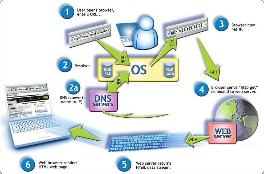 DNS (Domain