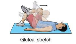 6 Gluteal stretch ( 엉덩이근육스트레칭 두무릎을굽힌상태에서등을바닥에대고눕습니다. 한쪽다리의발목을다른다리의무릎위에놓습니다.