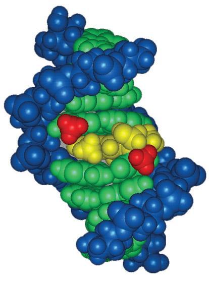Psoralen and related compound Psoralen은당근종류가합성하는물질로 DNA를 alkylate 하기전에 photoactivation되어야한다. Figure 10.18: Psoralen.