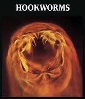 2) 구충 (Hookworm) = 십이지장충 분포및특성 기생부위 : 십이지장의조금아래쪽인공장 이동성 : 없음 크기 : 수컷 (7 8 mm ), 암컷 (10 13 mm ) 감염경로 ( 그림 4-8 참조 ) 충란 자충 탈피 피낭자충
