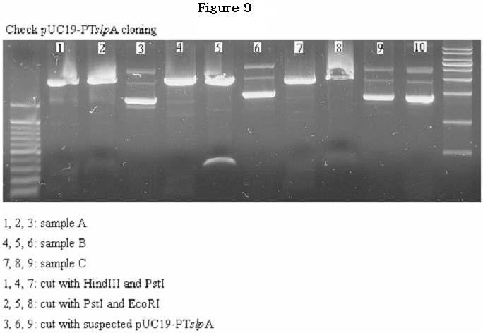 Figure 10.