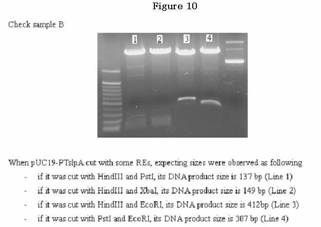 Figure 11.