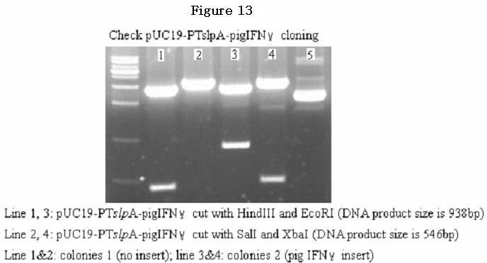 Figure 14.