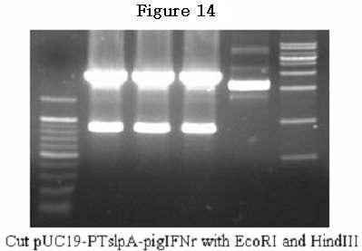 Figure 15.