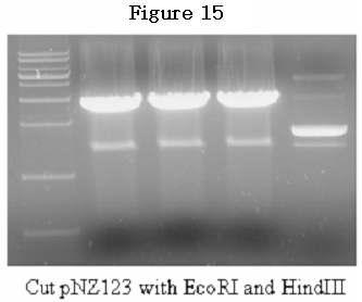 Figure 16.