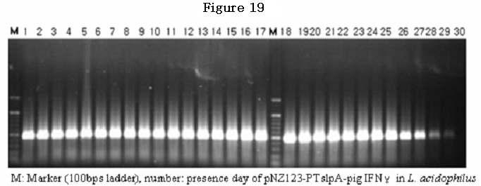 Figure 19.