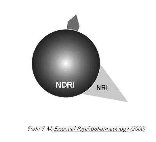 WELLBUTRIN SR (bupropion HCl) NDRI (norepinephrine and dopamine reuptake inhibitor) Serotonin,