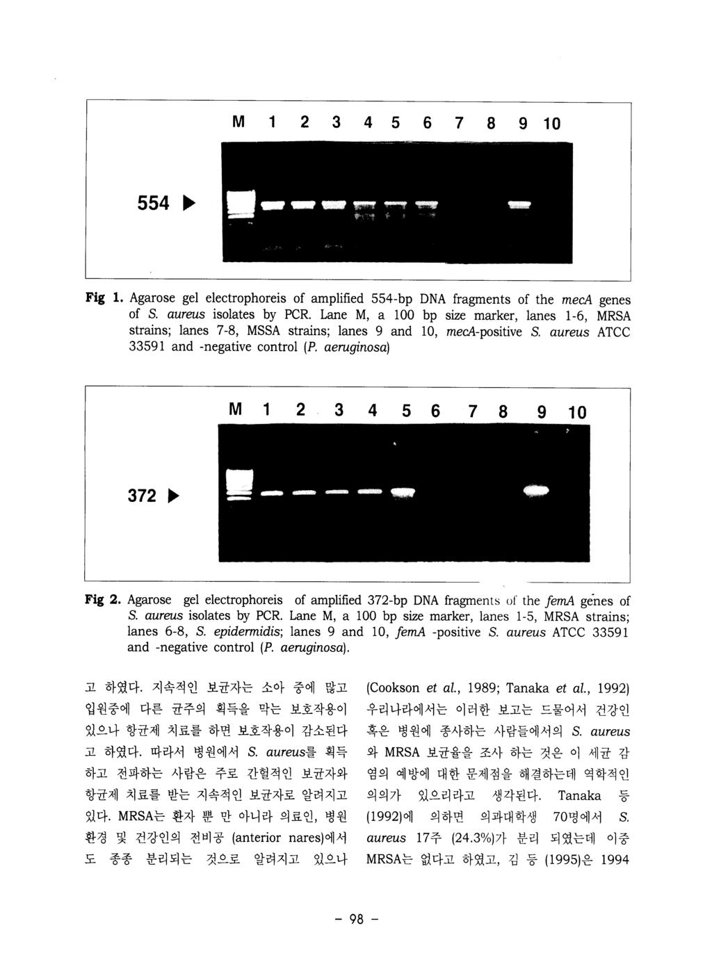 M 1 2 3 4 5 6 7 8 9 10 554 ~ Fig 1. Agarose gel electrophoreis of amplified 554-bp DNA fragments of the meca genes of S. aureus isolates by PCR.