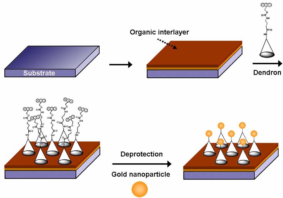 Immobilization of Gold Nanoparticles at the