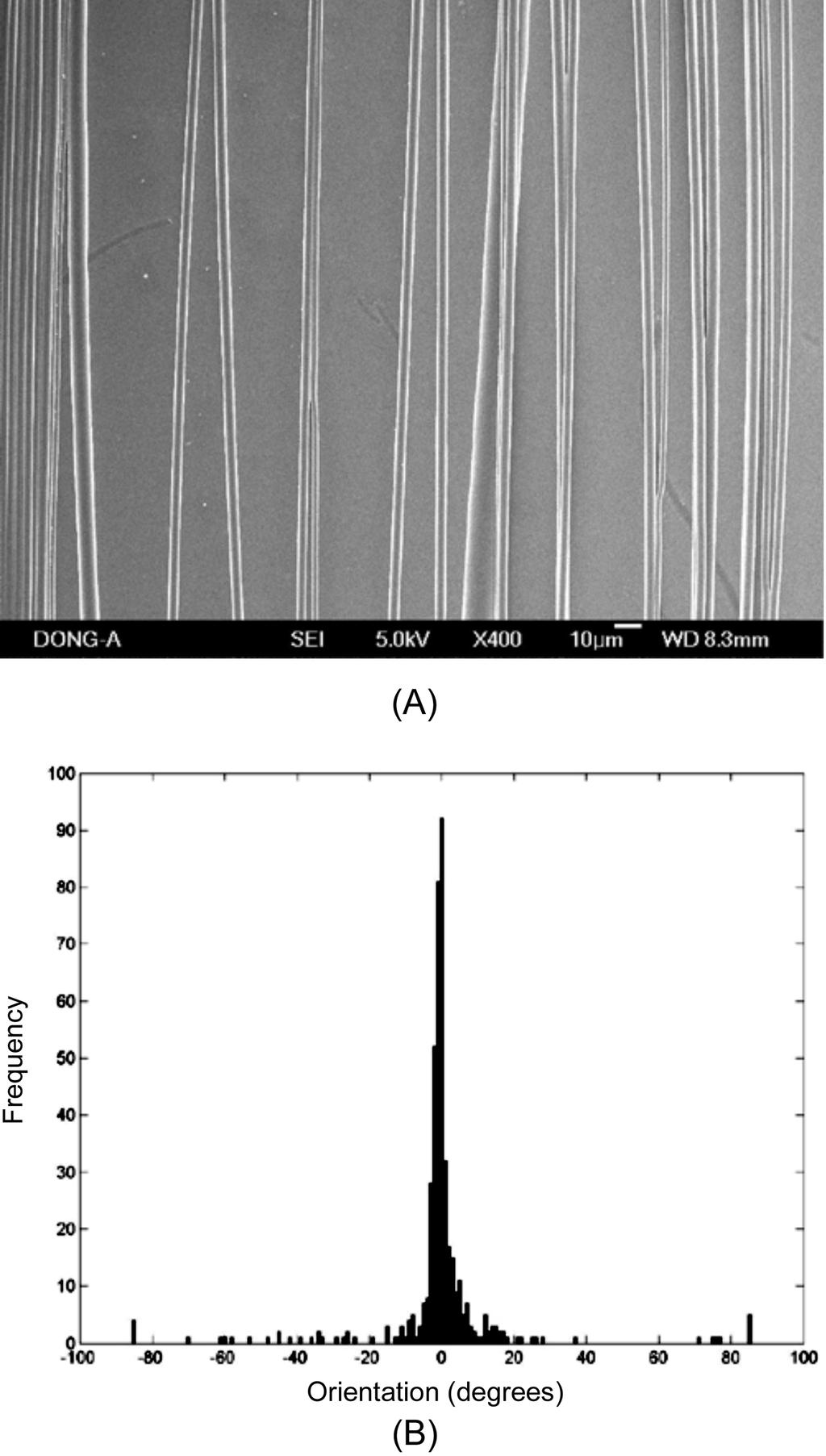 물리적 자극과 마이크로 섬유의 패턴이 신경세포의 성장과 방향성에 미치는 영향 A micropatterned substrate : (A) SEM image and (B) angular distribution. Figure 3. 에 3번 2시간씩 이틀간 전단응력을 가하였다.