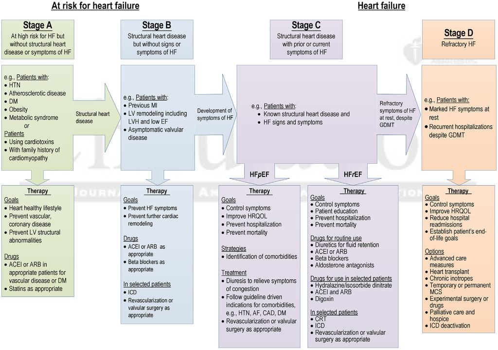 - Jin Joo Park, et al. HFrEF treatment - Figure 1. Stages in the development of heart failure and recommended therapy by stage. From Writing Committee Members, Yancy CW, Jessup M, et al.