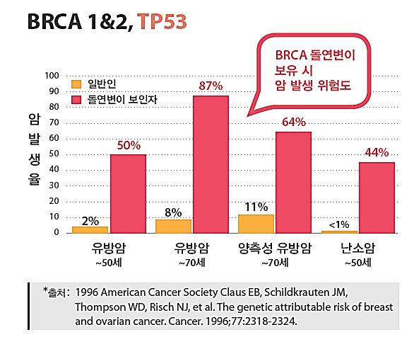 유전자와암발생률 BRCA1/BRCA2 유전자돌연변이