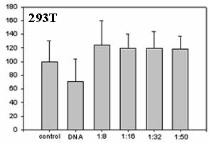 Figure 1에서는다양한분자량으로제조되어진 LMWSC 가유전자전달체로서가능성이있는지를평가하기위하여 MTT 분석을실시하여세포내독성을확인하였다.