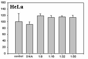 Figure 9. In vivo luciferase expression by LMWSC-Ch gene delivery.