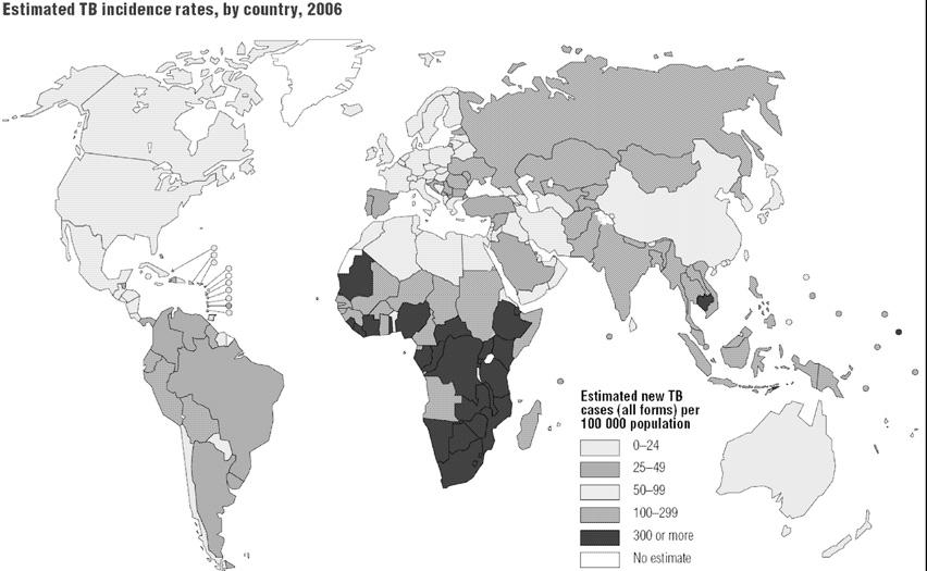 길라잡이 결핵의역학 (2006, WHO) 9.2 million new cases of TB 1.7 million deaths of TB 북한의두가지핵폭탄?