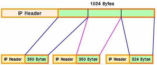 만일, 출발지에서목적지까지의최소 MTU가 350 bytes라고한다면 ( 그림 6-1-1) 과같이 Network Layer(Layer 3) 에서해당 Packet을 Fragmentation 하게된다.