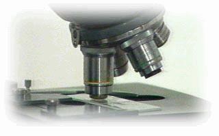 Divisions in Laboratory Medicine Traditional Diagnostic Hematology