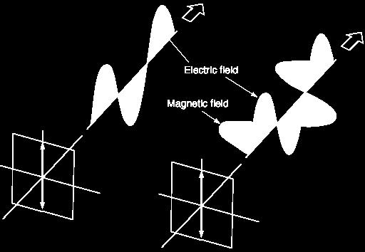 3 Classification of Polarization