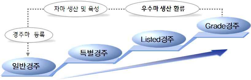 4. 대상 특별경주계획가. 기본방향한국대상경주의국제표준대상경주명부 ( 블루북 ) 추가등재및격 ( 格 ) 제고목적한국경주분류위원회 (KPC) 운영등대상경주품질관리강화 * 국제수준의대상경주품질관리를위한 KPC 운영규칙제정 운영 ( 관련 p.