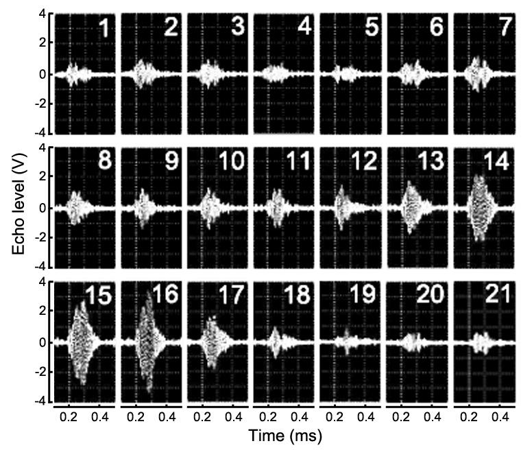 226 이대재 Fig. 4. Chirp echo waveforms measured as a function of angle of orientation in the dorsal plane of a chub mackerel Scomber japonicus.
