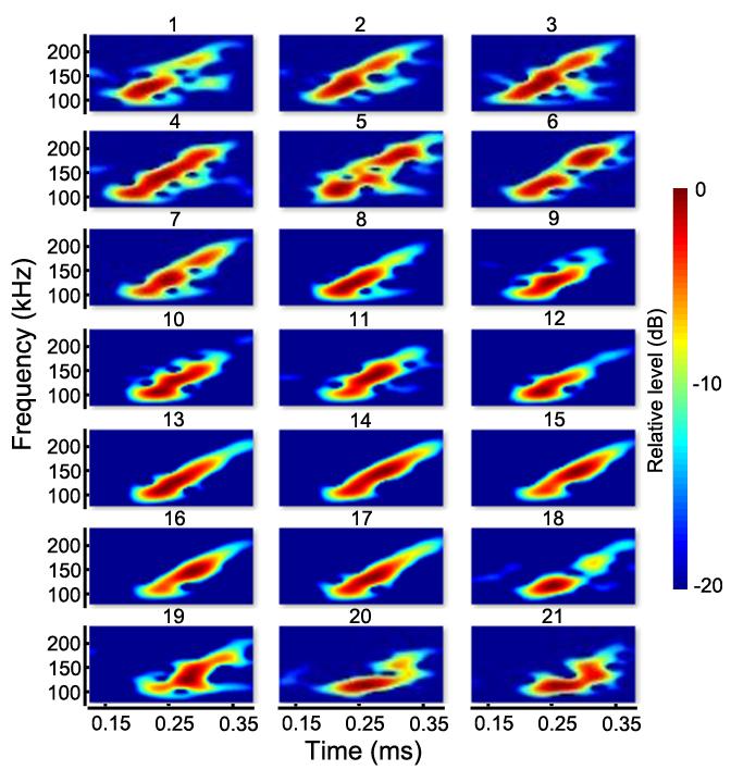 광대역음향산란신호의시간 - 주파수분석 227 Fig. 5. Time-frequency representations for the broadband echoes measured over a range of -25 (No. 21) to +25 (No. 1) with 2.