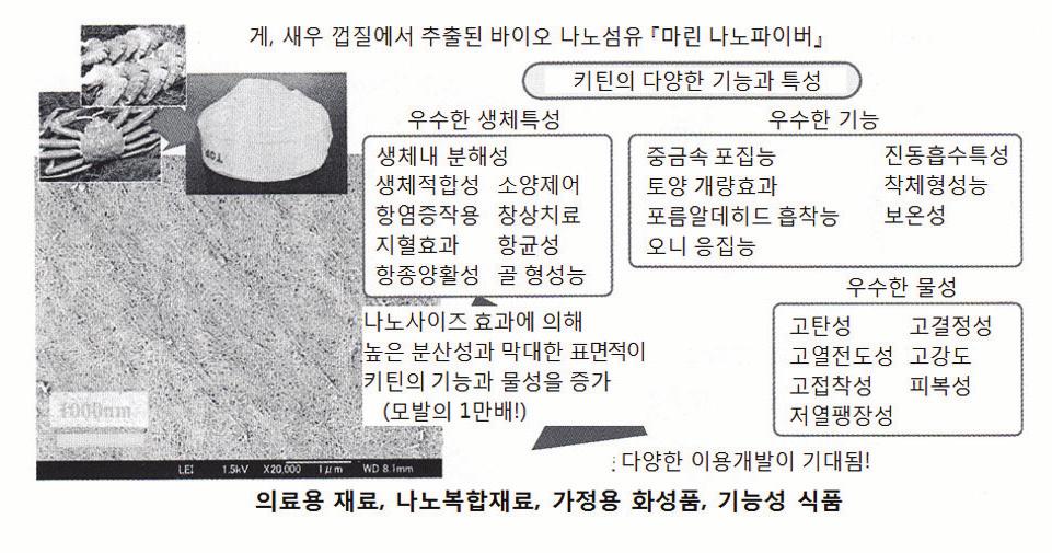 한편, 그라인드 처리하여 얻을 수 있는 마이크로파이버로부터 얻을 수 있는 시트는 탄 성율에서 약 2배(9.4GPa), 강도에서 약 4배(150MPa) 이었다.