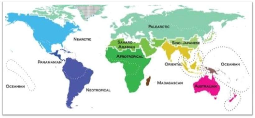 Chaatang 朝鮮이몽골의뿌리 - 순록유목에서양유목으로 161 < 그림 2> B G Holt et al. 이 Science 2013: 74-78에발표한 Genetic realms and regions of the world에실린생명체유전자지도. 한국과중 일은명백히차별화된다 [ 이홍규교수검색 ].