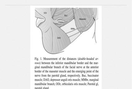 Mandibular Area Sagging