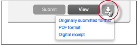 Some users may be prompted by pop-up windows or toolbar icons on their web browser to continue and approve the download or open the file.