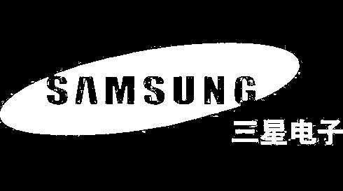 Samsung Electronics ( 三星电子 ) 2011~ DOOSIM 2.