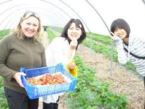 학교까지의거리 : 5-30 분 ( 도보거리 ) 알림 :1 주 싱글룸 + 공용화장실 : 주 196 싱글룸 + 개인화장실 : 주 231