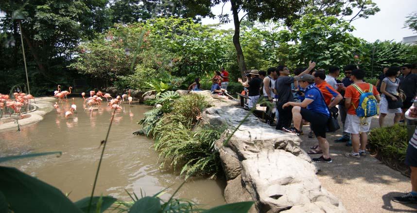 2. 기타방문지 주롱새공원 (Jurong Birdpark)