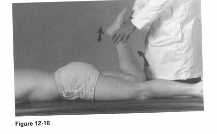 2) 이검사는 hip 이 stress 를받아내측으로회전하는원인이된다. sacroiliac joint 의통증은 sacroliliac joint lesion 을나타내고 Hip joint 의통증은 hip joint lesion 을나타낸다. 4. Hip joint 가.