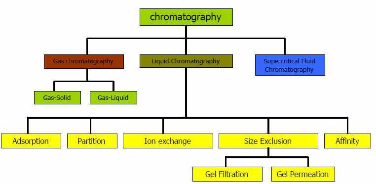 크로마토그래피 (chromatography) 1.