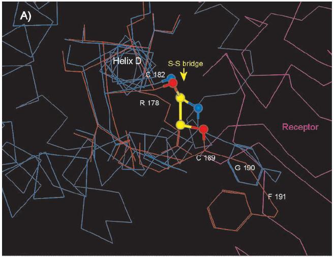 소마트로핀사례 (X-ray 구조 ) 제조국 r-hgh thioether variant(%) 아르헨티나로트 1 Not detected 아르헨티나로트 2 Not detected 핚국로트 1 32 핚국로트 2 7 핚국로트 3 6 핚국로트 4 18 이스라엘로트 1 5 스위스로트 1 Not detected 스위스로트 2 Not detected 국제표준품 Not