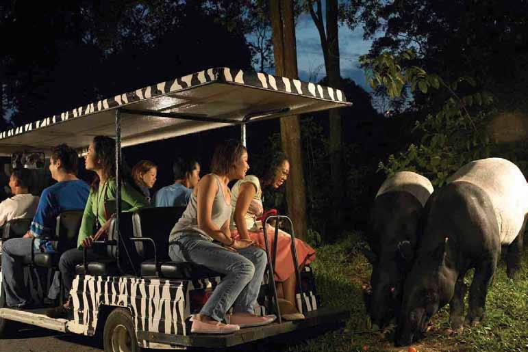 Attraction 싱가포르동물원 & 나이트사파리 The Singapore Zoo & Night Safari