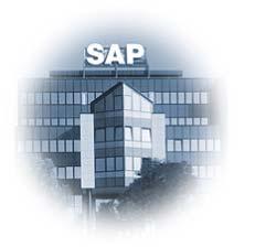 SAP World Wide 2003 매출액 약 10 조원 (74 억유로 ) 직원수 28,900 명 (2004 년 1월 ) 연구개발인력및투자액 8,000 명, 1 조