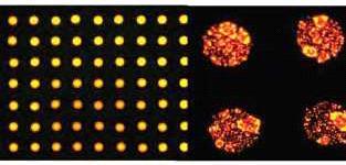 스마트안티폴루션추천시스템 [ DNA 마이크로어레이형광이미지 ] 단백질칩을위한단백질분석방법중가장많이활용되는방법중하나는형광발색단을 이용한형광분석방법 형광단백질칩은형광현미경이나형광분광광도계등을이용하여측정 형광이가지는고유의민감도및단순성을활용 물질을감지함으로써 형광표지자의방출스펙트럼을다양하게설계하면환경독성물질의다중측정도가능하게됨 최근에는화학적형광발색단,