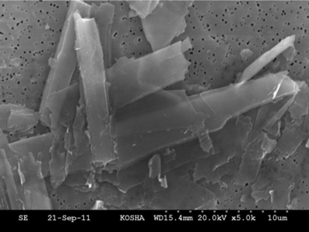 백석면의 섬유수는 안소필라이트에 Chrysotile(,) Anthophyllite( 5,) 비하여 mg 당,7배 정도 많았다. 시험물질의 길이는 백석면은 5 µm 이상이 % 였고, 안소필라이트는 5 µm 이상이 6% 였다.