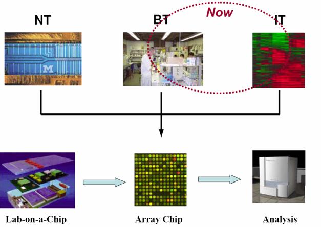 Biochip Technology (Fusion of BT, IT, & NT) 17/26 Protein Chip Platform Technology