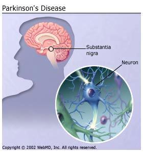 Physiological