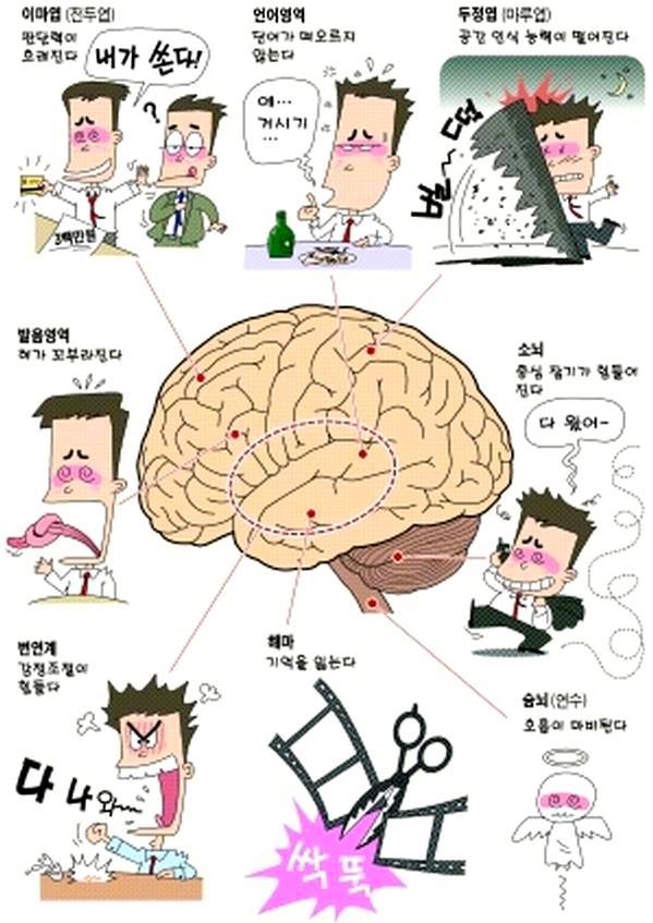 Physiological Psychology 48 Appendix G. 뇌가취하면? 왜술에취하면매우다양한종류의부적효과를경험하는걸까?