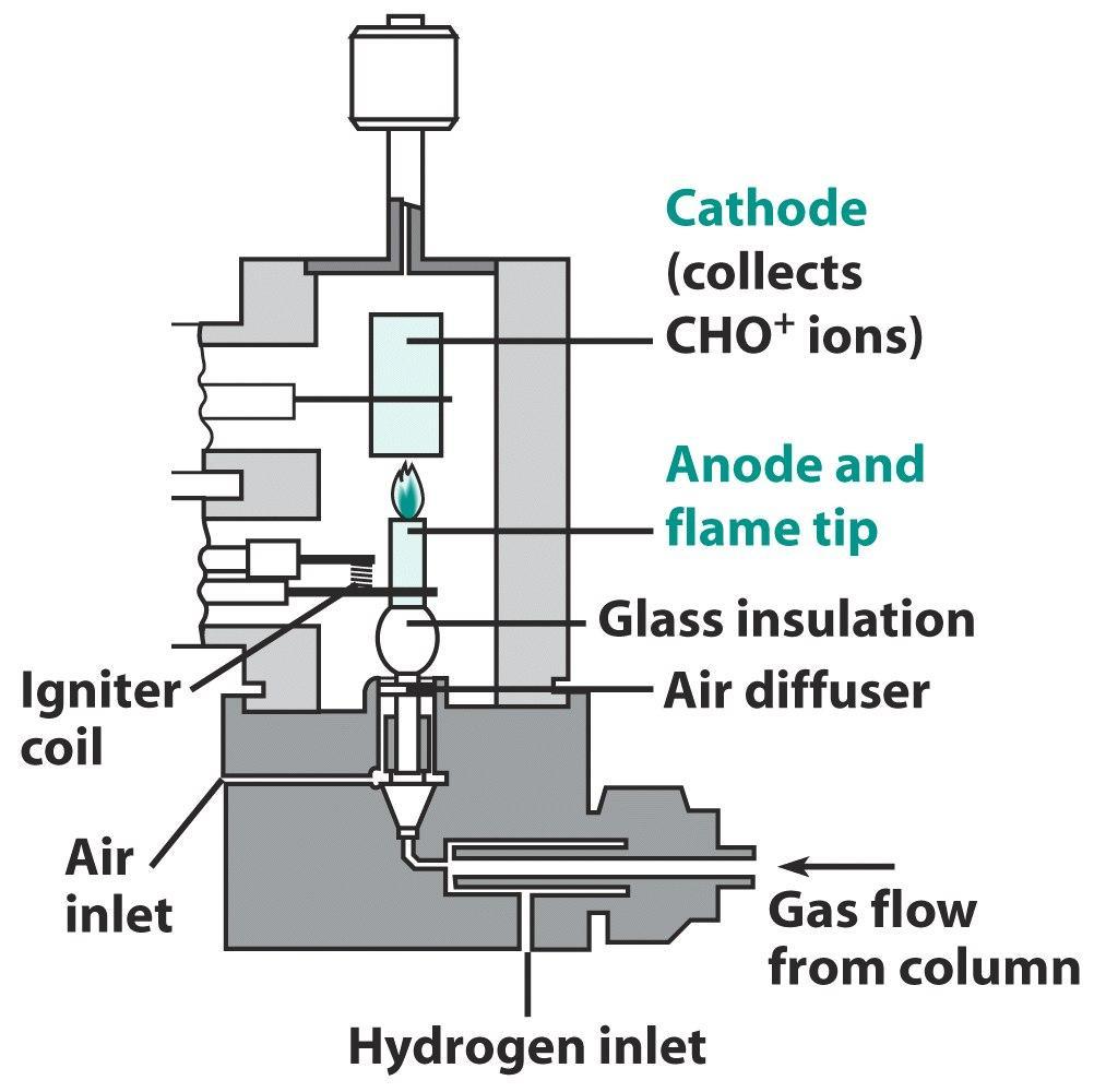 불꽃이온화검출기 (flame ionization detector) 시료중의탄소원자 수소와공기혼합물에의해연소 CHO +