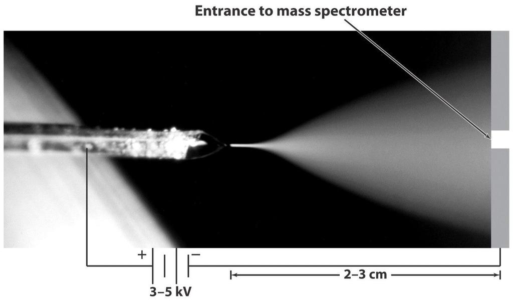 질량분석계의입구에대해약 5 kv