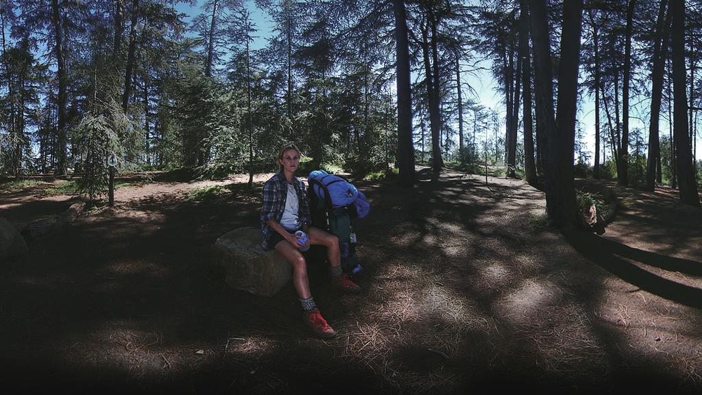 Magic)이 구현한 공룡 CG 영상을 합성하는 방식으로 구 현됨 또한 영화 Wild 의 VR 체험영상에서는 감상자가 VR 헤드셋을 착용하고, 나무가 즐비한 트래킹 코 스 한 가운데를 가상현실로 경험 영화의 여주인공인 Reese Witherspoon이 바위에 앉아 휴식을 취하고 있는 가운데, 유저는 거대한 나무들이 둘러싸고 있는 트래킹 코스에서 고개를