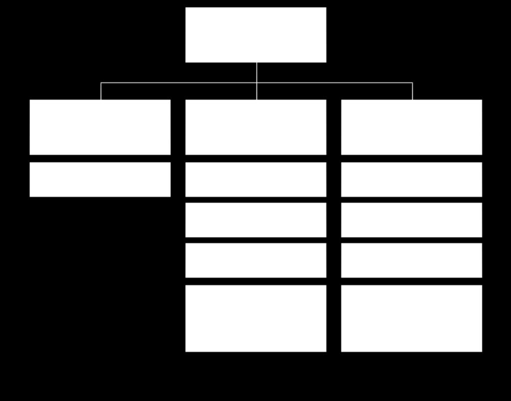 Organization 다양한전문인력을통한최상의퍼포먼스조직 PROJECT MANAGER