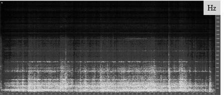 편집하였다(Fig. 10A B, 11A B 참조). 이때, Fig. 10B와 Fig. 11B를 비교해 보면 스트레스가 없는 소리 신호(Fig. 10B)에 비해서 스트레 스가 발생한 소리(Fig.