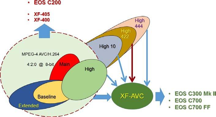 7.4 EOS C200 압축코덱의맥락 MPEG-4 표준화개발작업이수년간진행되면서빠르게증가하는디지털모션이미징시스템의정교함에대응하기위해프로파일과레벨이추가되었습니다. 그림 11은추가된프로파일들을간략하게요약한것입니다. 추가된프로파일은메인프로파일에구축되어있으며, 프로페셔널카메라라인업에표준의변형을채용하기위해캐논이채택한접근법도확인할수있습니다.
