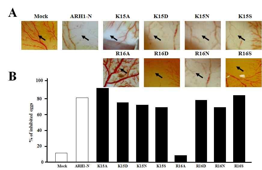 Angiostatic activity in